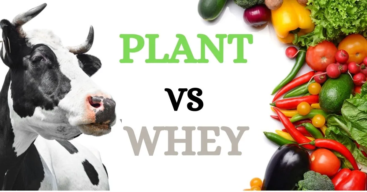 Plant-based Vs. Whey