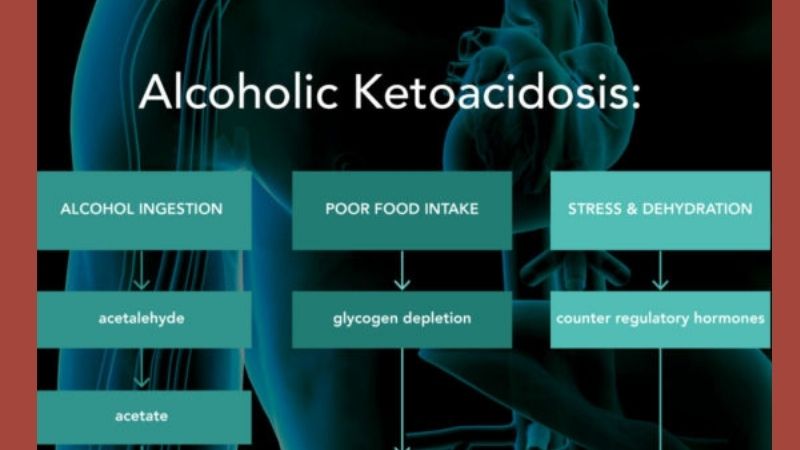 Can I Drink Alcohol on the Keto Diet? Myth-Busting Tips 2024 4 The Effect Of Alcohol On Appetite And Decision-making