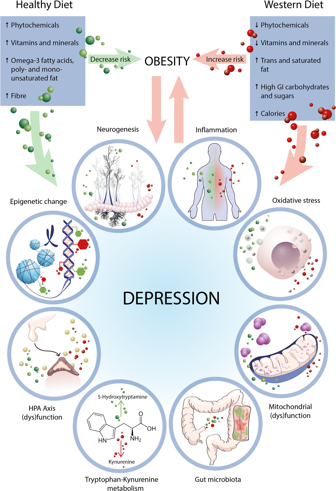 Keto Diet for Depression: Unveil the Mood-Boosting Effects!