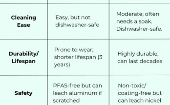 Ceramic Vs Stainless Steel Cookware Safety